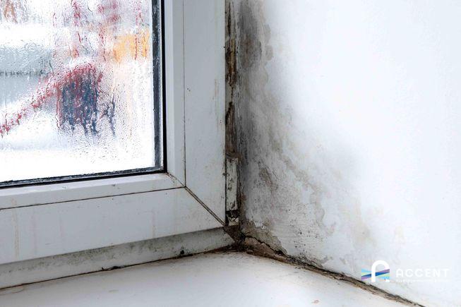 The best way to prevent mold